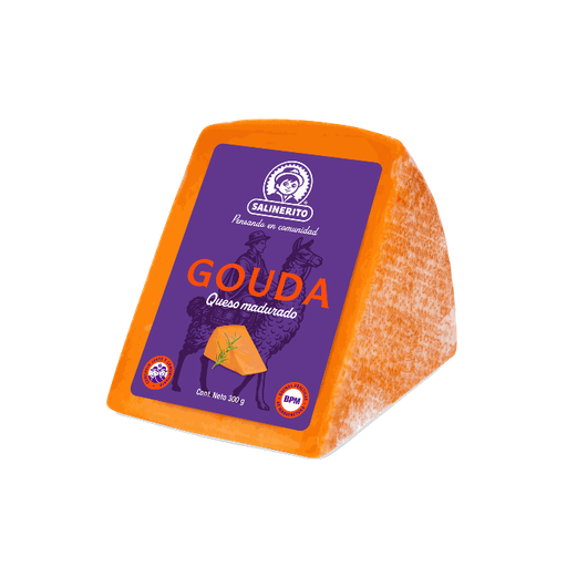 Queso gouda Salinerito 300g