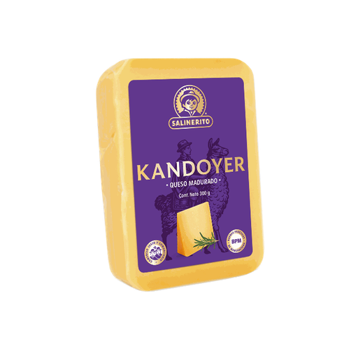 Queso gruyere madurado Salinerito 300g