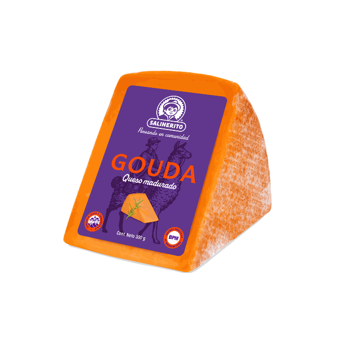 Queso gouda Salinerito 300g