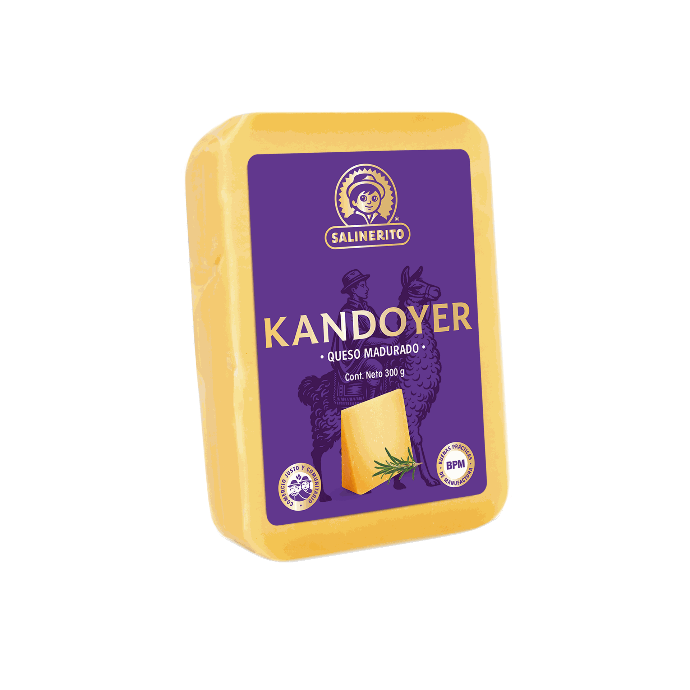 Queso gruyere madurado Salinerito 300g